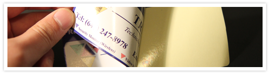 Window ( Reversed ) Stickers